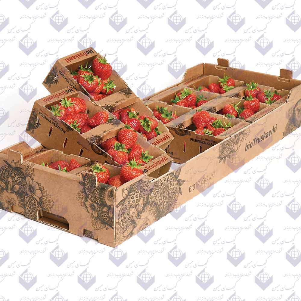 هر آنچه درباره کارتن میوه لازم است بدانید